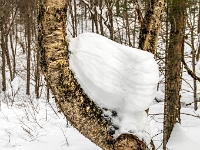 Parc national de la Jacques-Cartier